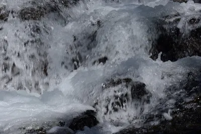 DSC_3599 (Large).JPG